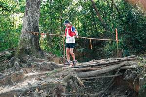 BIB: 
                            <button type="button" onclick="openModal(27747805)" class="btn btn-primary btn-sm float-right btn-popup" data-toggle="modal" data-target=".modal-high-quality">
                        <i class="fas fa-shopping-cart"></i> Add to Cart
                    </button>
                                            <button type="button" onclick="isThisMe(27747805, true)" class="btn btn-success btn-sm float-right btn-popup btn-isme hidden" data-toggle="tooltip" data-placement="bottom" title="นี่คือรูปของคุณใช่ไหม คลิกที่นี่เพื่อเอาเข้าอัลบั้ม">
                        <i class="fas fa-plus"></i> Add to album
                    </button>
                    <button type="button" onclick="isThisMe(27747805, false)" class="btn btn-warning btn-sm float-right btn-popup btn-isnotme hidden">
                        <i class="fas fa-ban"></i> Remove from album
                    </button>